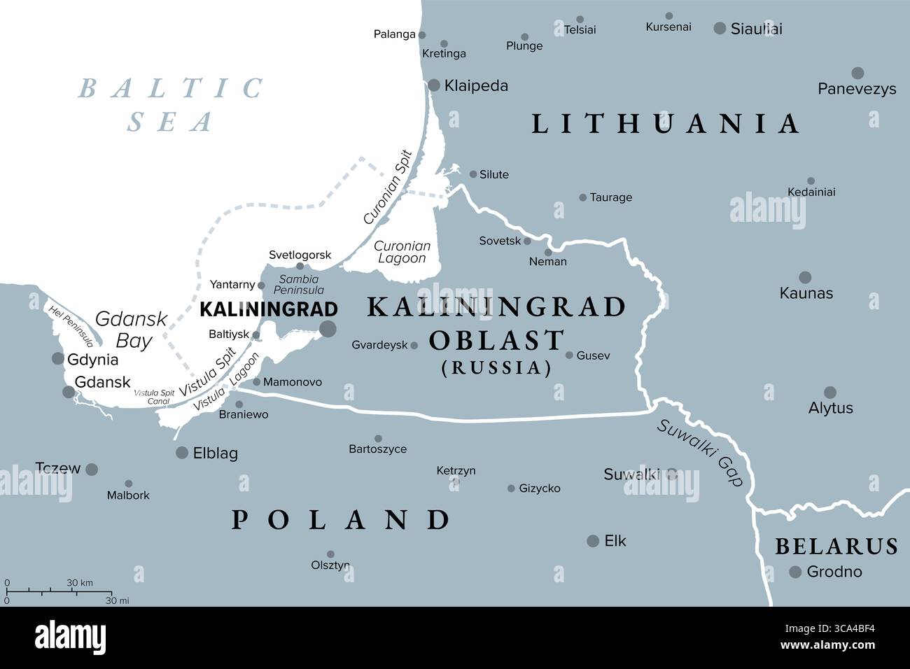 Kaliningrad And Vicinity Gray Political Map Kaliningrad Oblast 