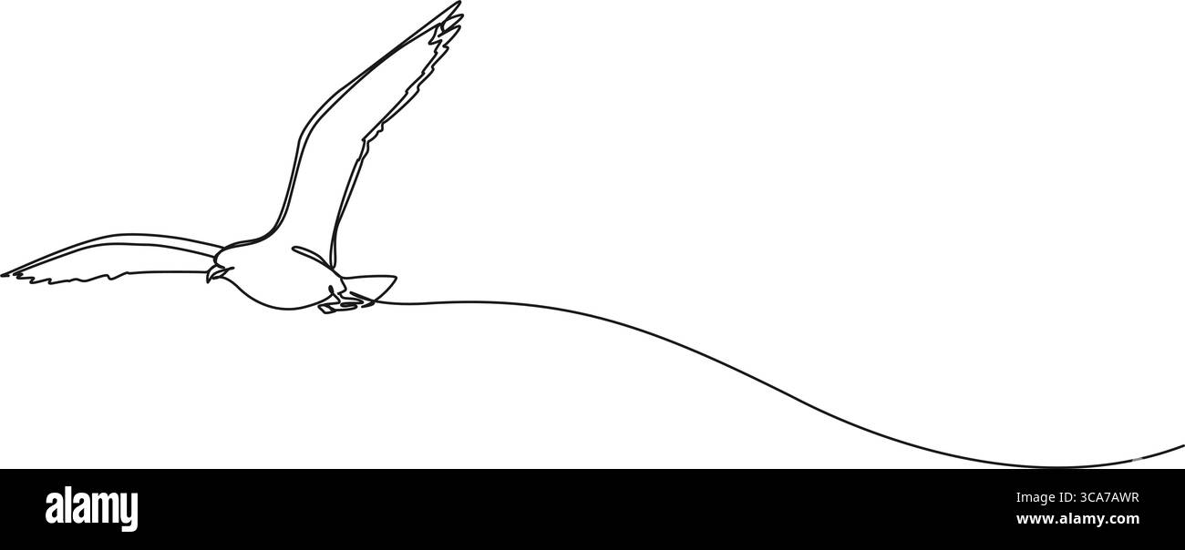 continuous single line drawing of seagull flying, line art vector ...