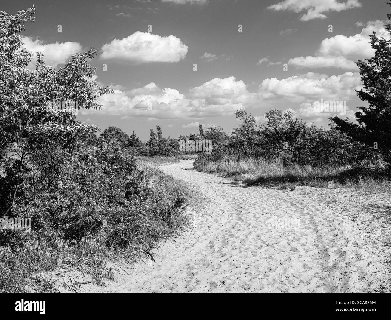 White clouds dotted the sky Black and White Stock Photos & Images - Alamy