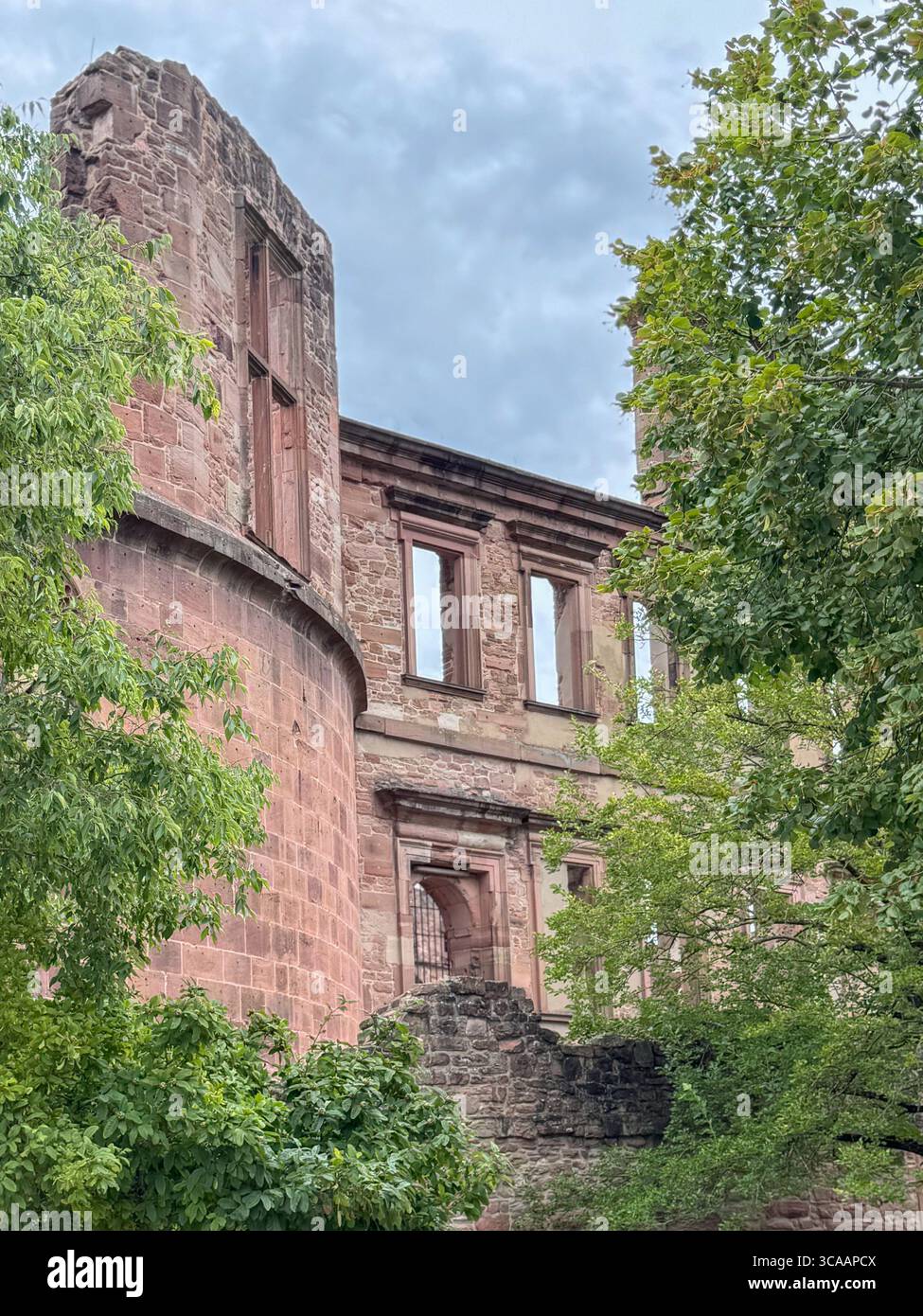 Castle ruins with stone walls and windows stand amidst vibrant trees ...