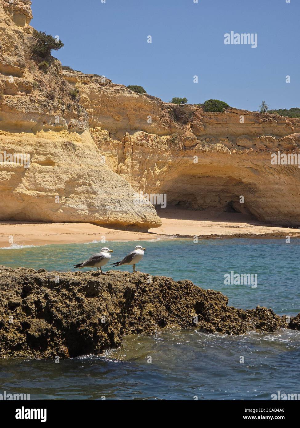 Limestone cliffs and scenic beaches along the Algarve coastline in southern Portugal, with rock formations, caves, and turquoise waters on a sunny day. - Smartphone Captured Stock Image Limestone cliffs and scenic beaches along the Algarve coastline in southern Portugal, with rock formations, caves, and turquoise waters on a sunny day. - Smartphone Captured Stock Image