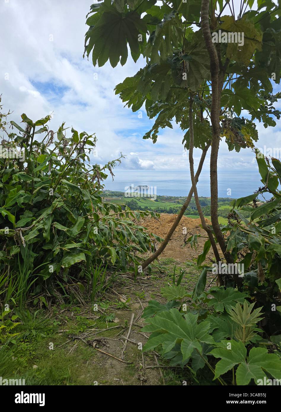 View of Vila Franca do Campo Islet from a hiking trail on São Miguel Island, Azores, Portugal. - Smartphone Captured Stock Image