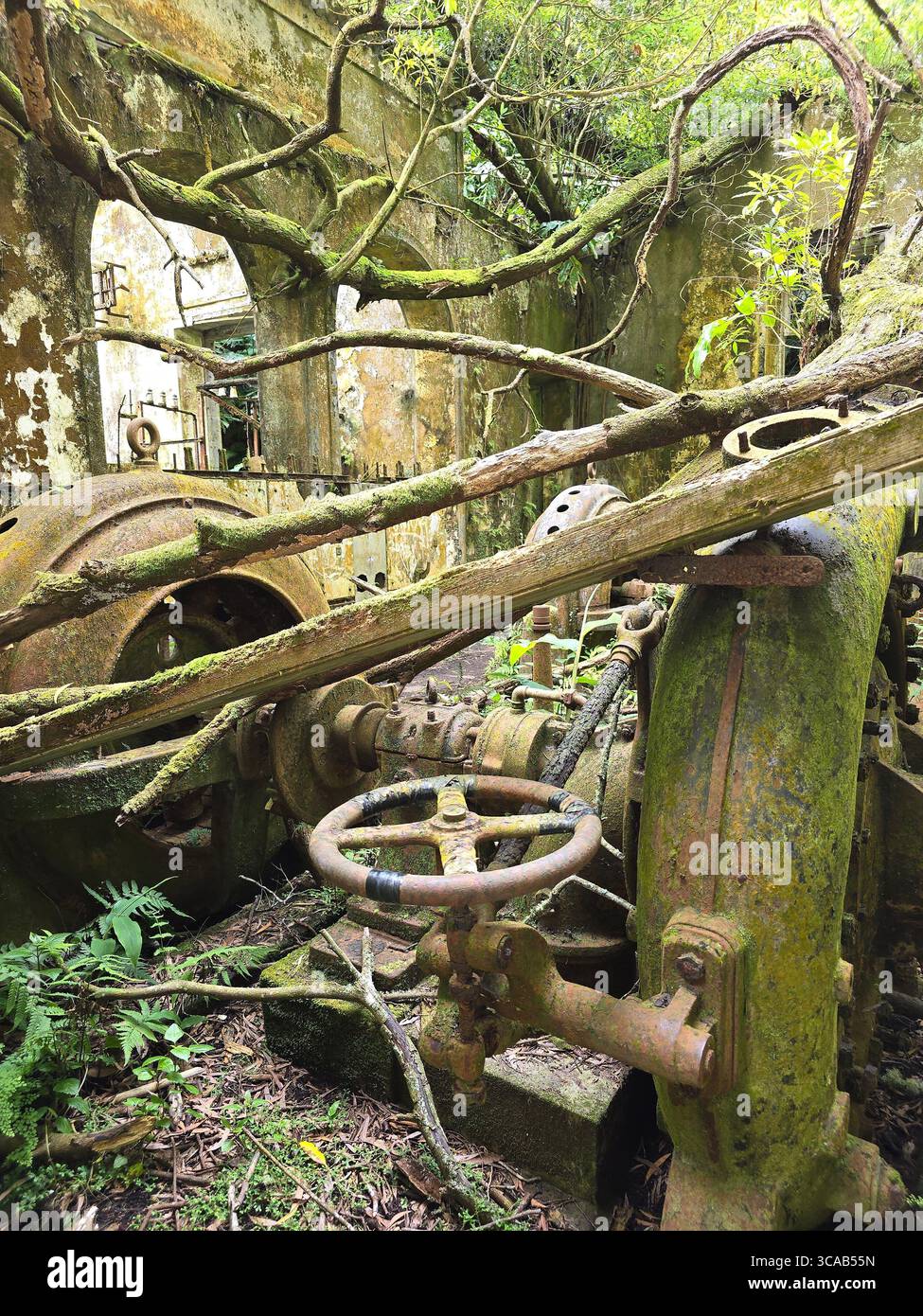 Abandoned hydroelectric machinery overgrown by nature on a hiking trail in São Miguel Island, Azores, Portugal. - Smartphone Captured Stock Image