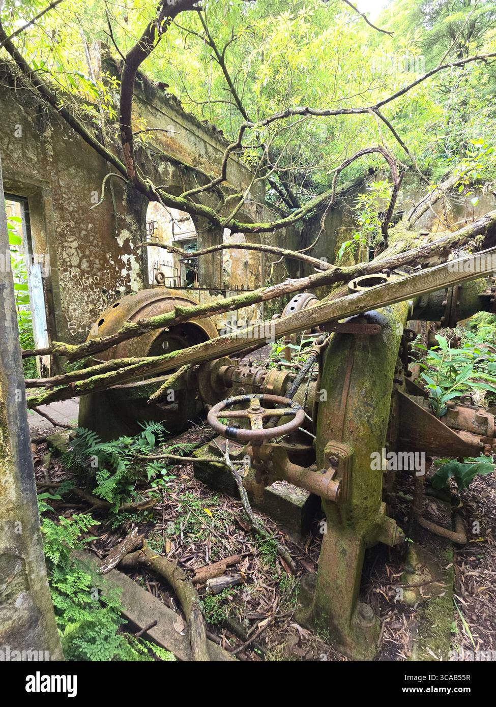 Abandoned hydroelectric machinery overgrown by nature on a hiking trail in São Miguel Island, Azores, Portugal. - Smartphone Captured Stock Image