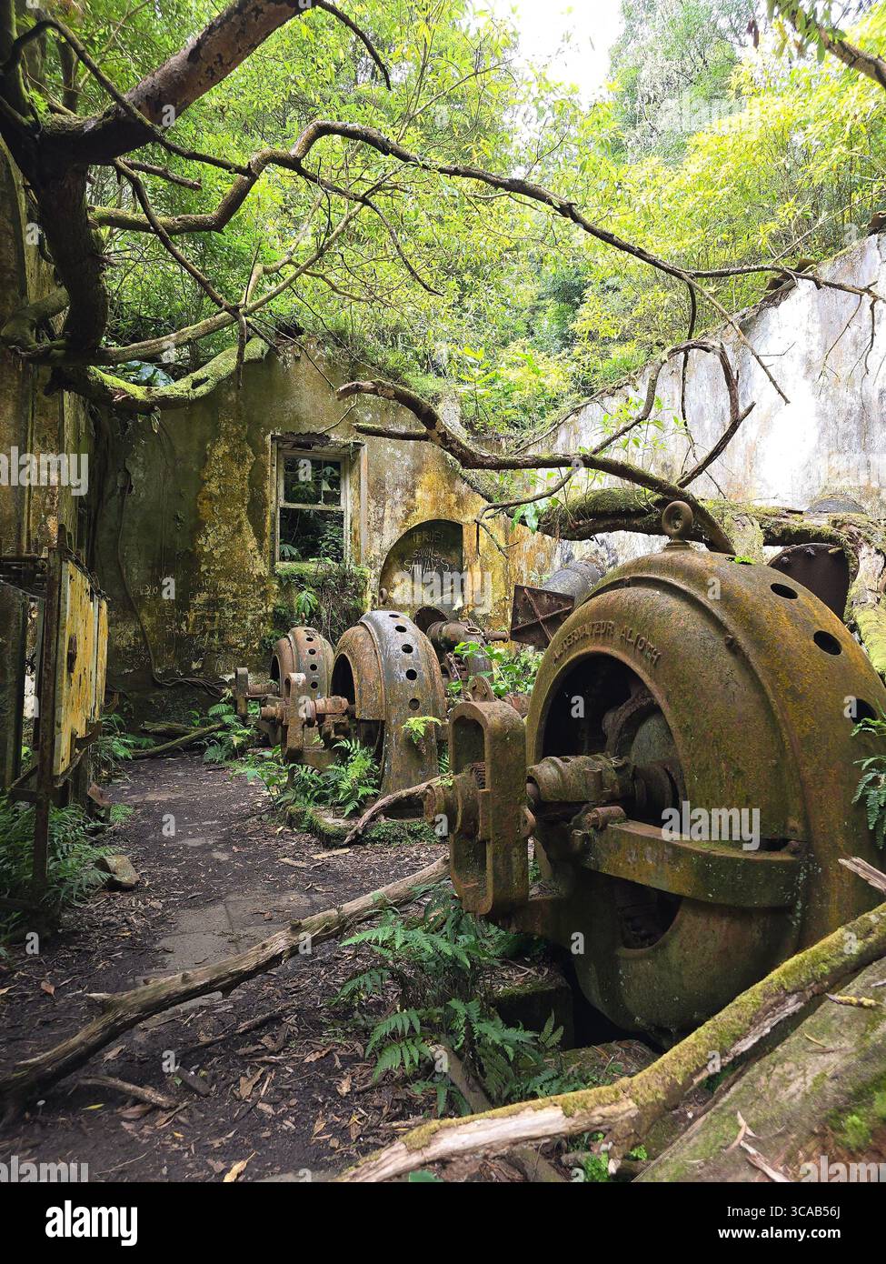 Abandoned hydroelectric machinery overgrown by nature on a hiking trail in São Miguel Island, Azores, Portugal. - Smartphone Captured Stock Image