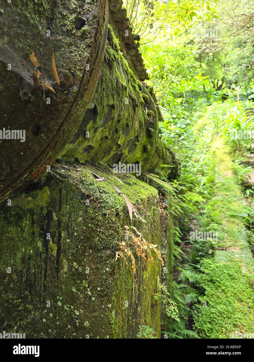 Abandoned hydroelectric machinery overgrown by nature on a hiking trail in São Miguel Island, Azores, Portugal. - Smartphone Captured Stock Image