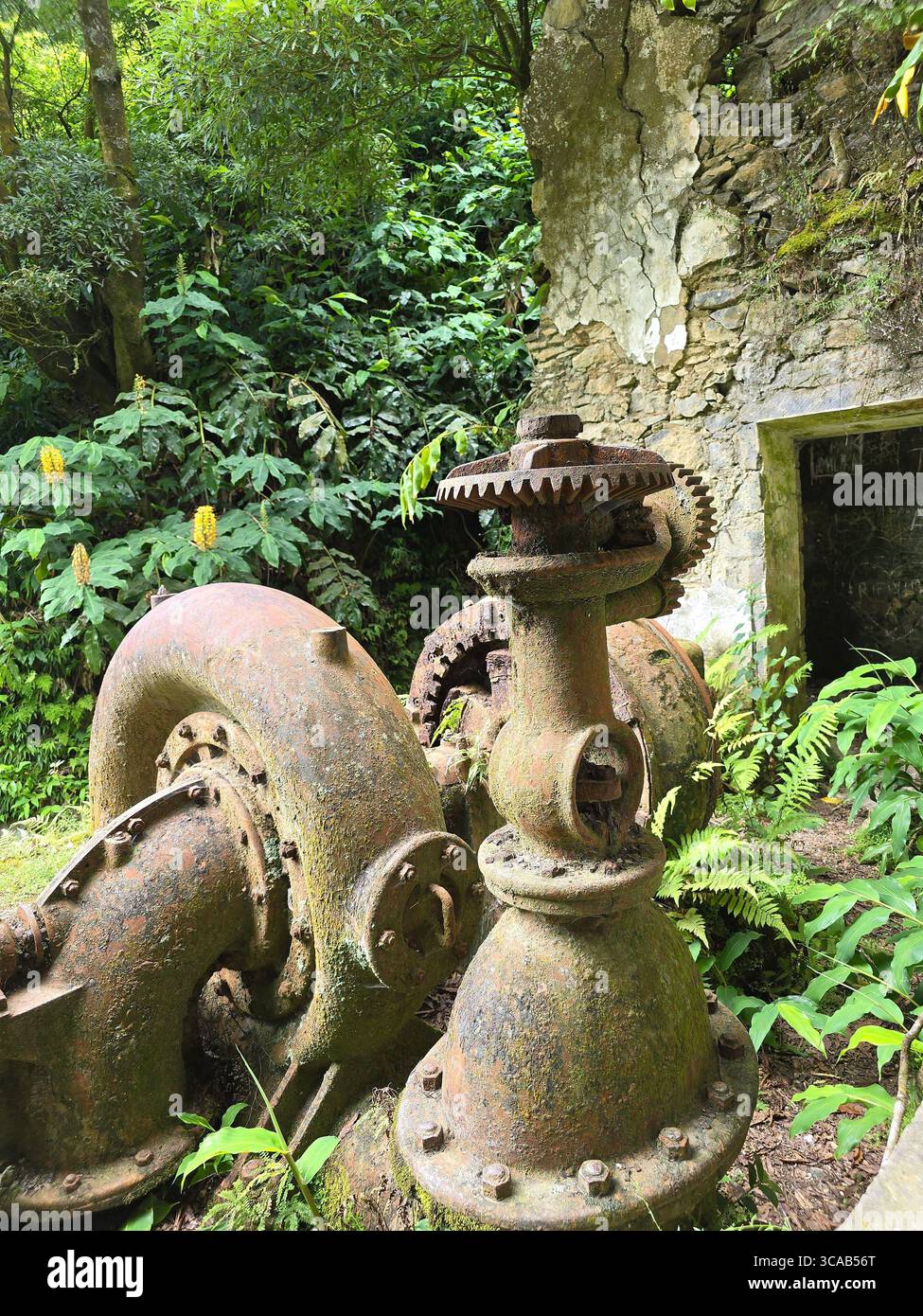 Abandoned hydroelectric machinery overgrown by nature on a hiking trail in São Miguel Island, Azores, Portugal. - Smartphone Captured Stock Image