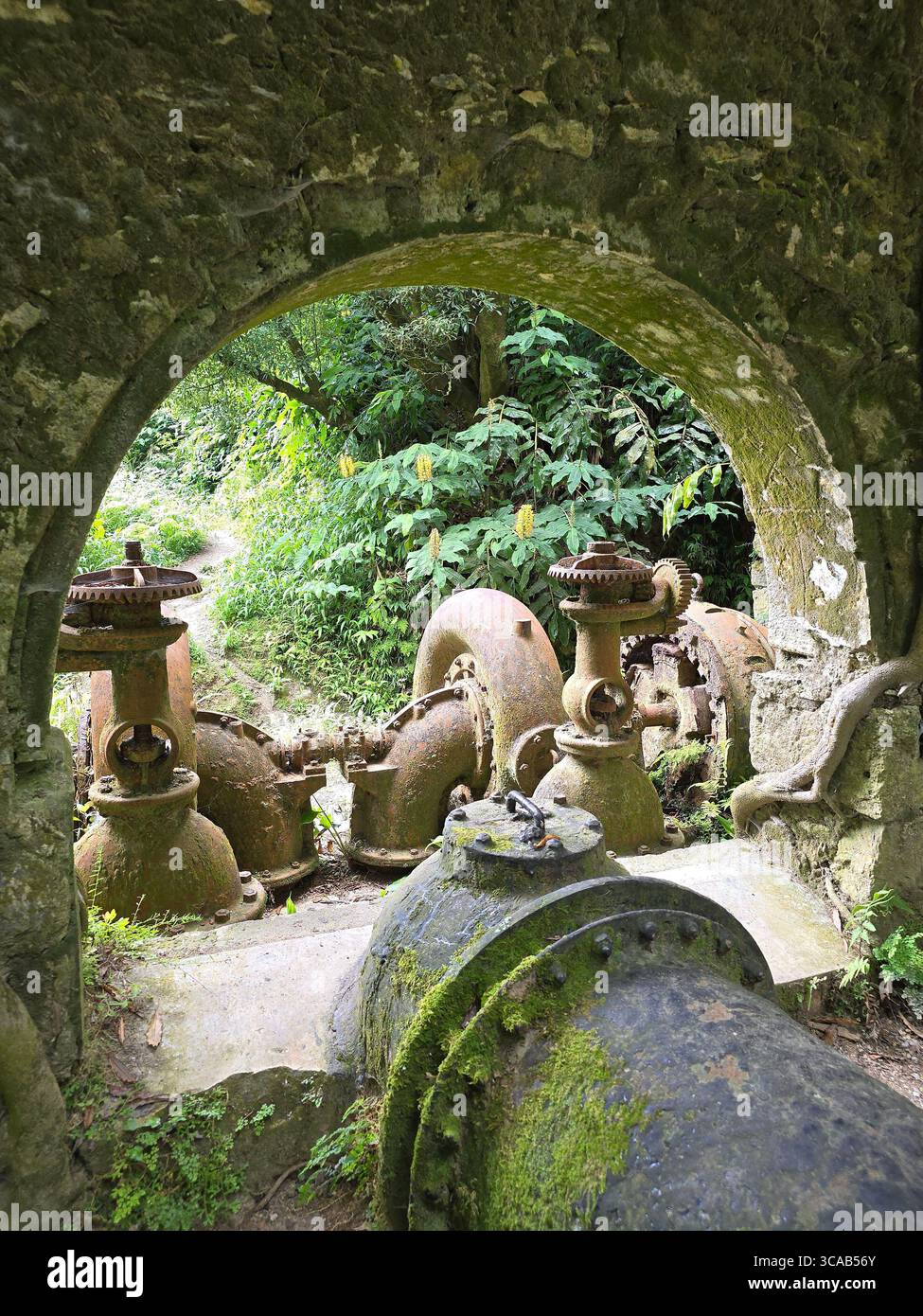 Abandoned hydroelectric machinery overgrown by nature on a hiking trail in São Miguel Island, Azores, Portugal. - Smartphone Captured Stock Image