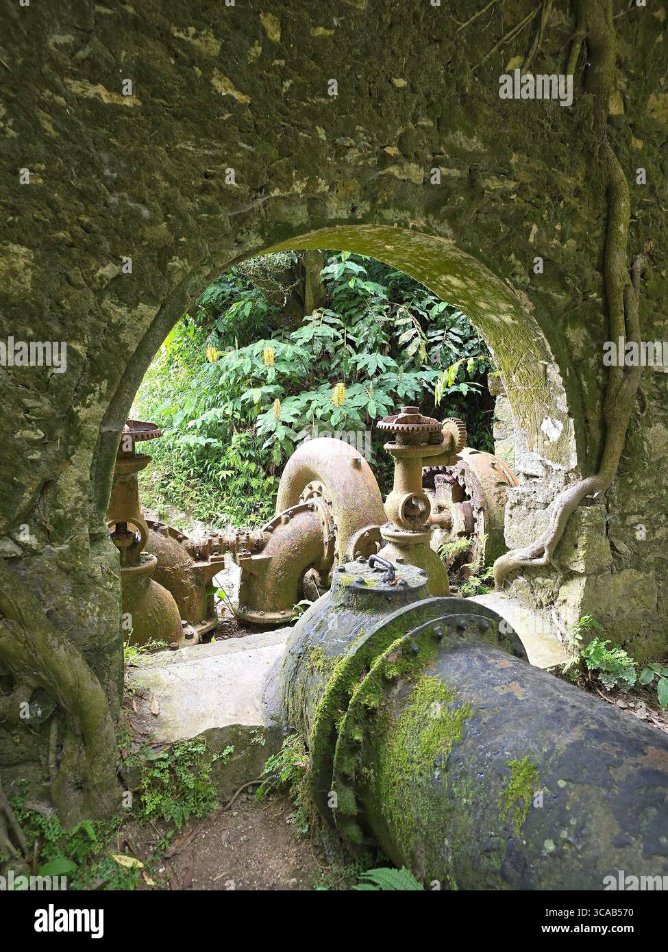 Abandoned hydroelectric machinery overgrown by nature on a hiking trail in São Miguel Island, Azores, Portugal. - Smartphone Captured Stock Image