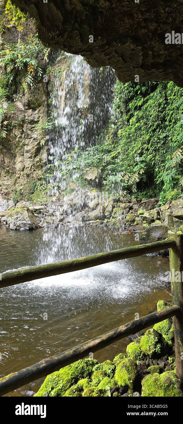 Waterfall viewpoint along a hiking trail in the Azores, Portugal. - Smartphone Captured Stock Image