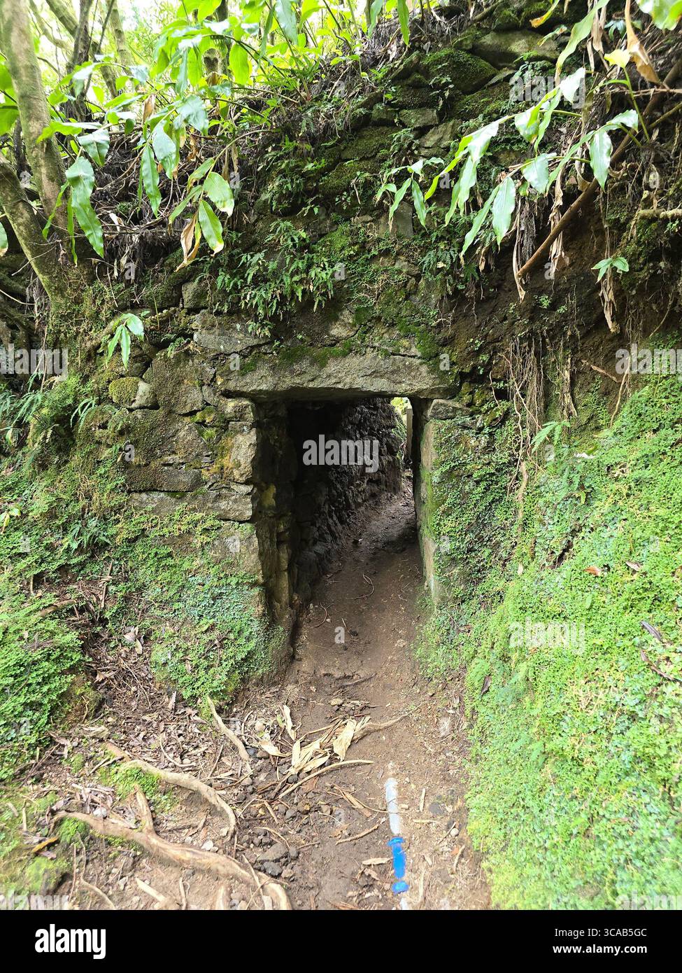 Ancient stone tunnels and pathways along a hiking trail in the Azores, Portugal. - Smartphone Captured Stock Image
