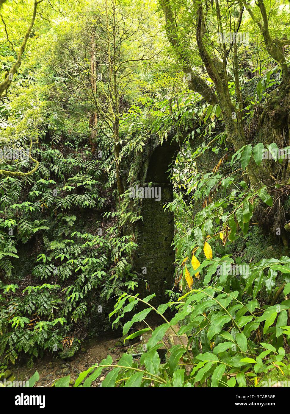 Ancient stone tunnels and pathways along a hiking trail in the Azores, Portugal. - Smartphone Captured Stock Image