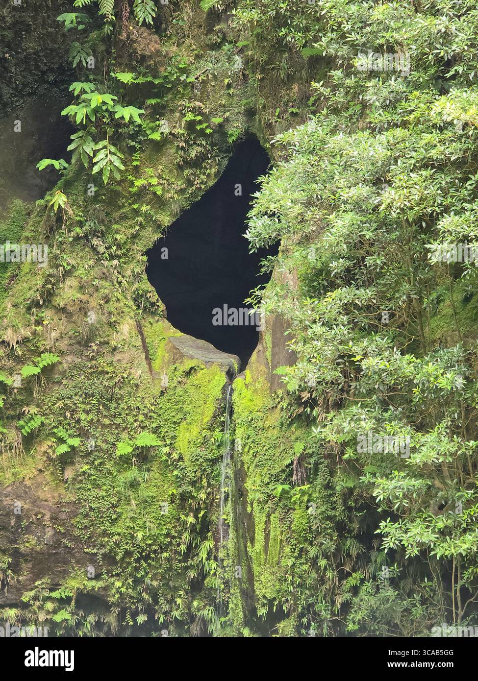 Waterfall emerging from a mossy rock formation along a hiking trail in the Azores, Portugal. - Smartphone Captured Stock Image