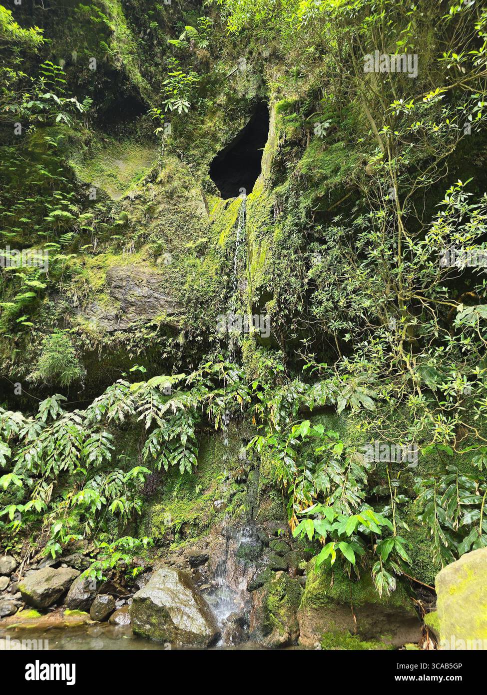 Waterfall emerging from a mossy rock formation along a hiking trail in the Azores, Portugal. - Smartphone Captured Stock Image