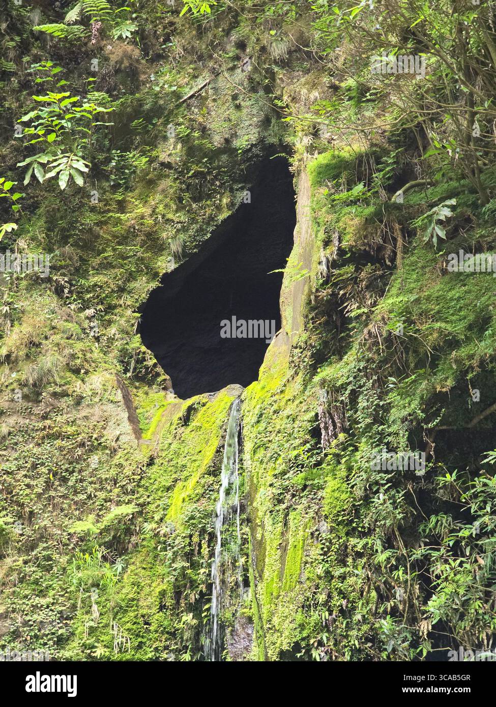 Waterfall emerging from a mossy rock formation along a hiking trail in the Azores, Portugal. - Smartphone Captured Stock Image