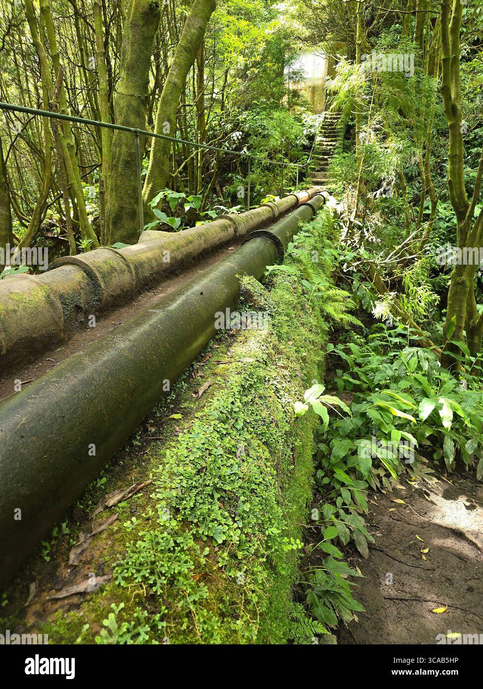 Water pipes along a forest trail transporting spring water on São Miguel Island, Azores, Portugal. - Smartphone Captured Stock Image