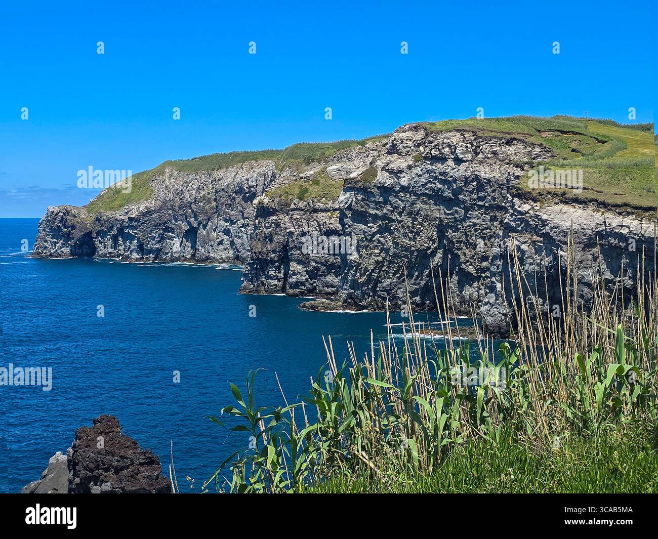 Cliffs along the hiking trail north coast of São Miguel Island, Azores, Portugal. - Smartphone Captured Stock Image
