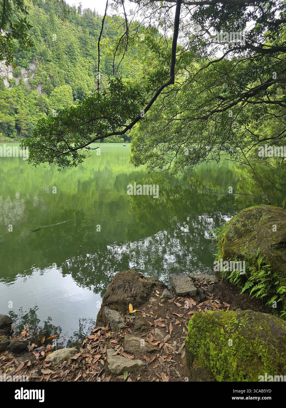 Lagoa do Congro lake surrounded by forest, on a hiking trail in São Miguel Island, Azores, Portugal. - Smartphone Captured Stock Image