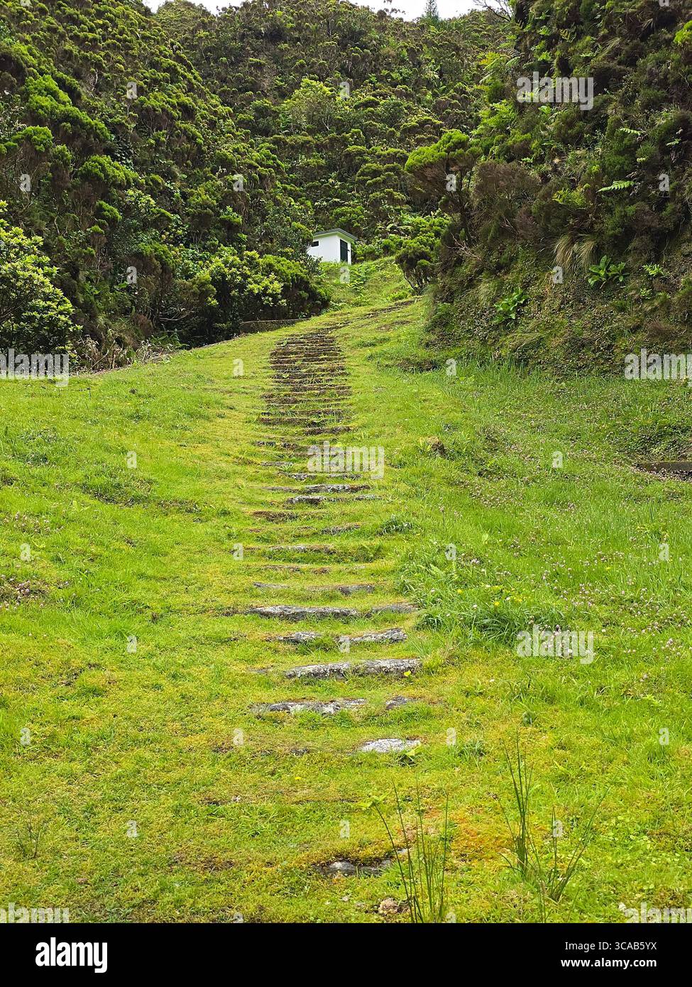 Levada trail and water collection system near Lagoa do Fogo, São Miguel Island, Azores, Portugal. - Smartphone Captured Stock Image