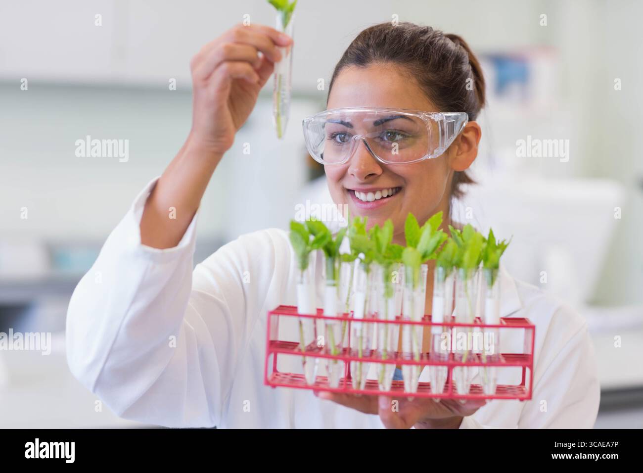 Woman wearing lab coat and goggles examining green seedlings in red ...
