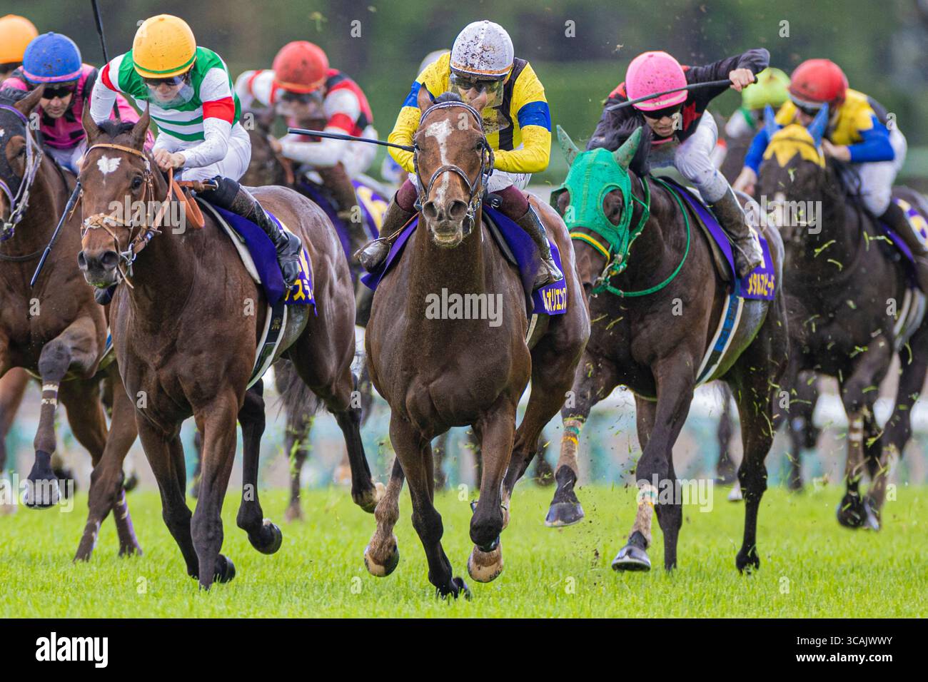 Satsuki nakayama hi-res stock photography and images - Alamy