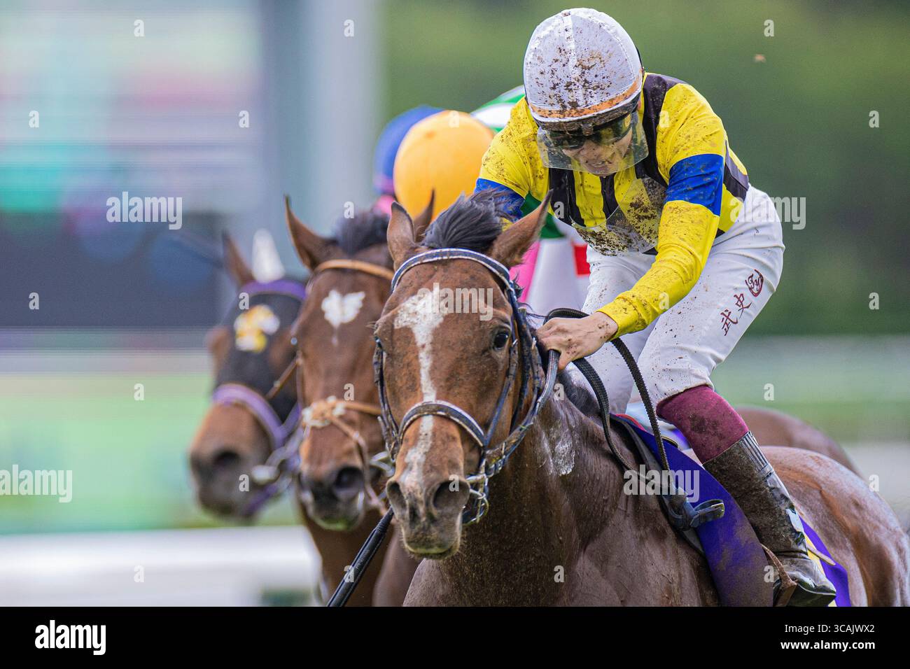Satsuki nakayama hi-res stock photography and images - Alamy