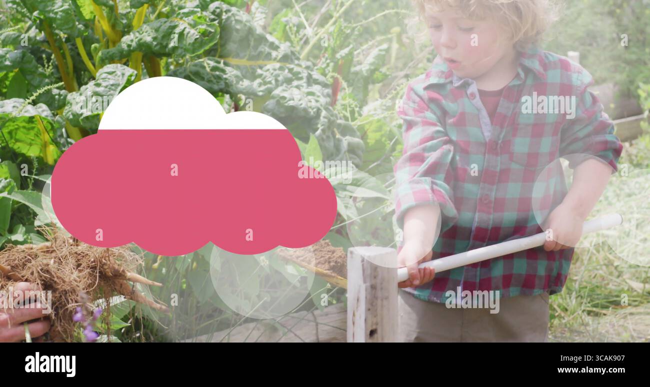 Prying Roots Harvesting boy prying soil beside raised bed, with hoe, root vegetables ...