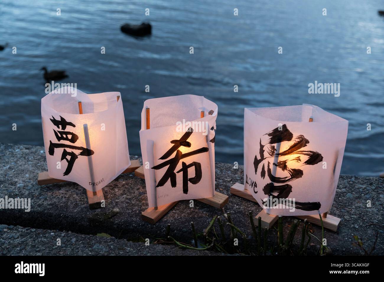 Paper lanterns are lined up along the shore during the Toro Nagashi Lantern Floating Ceremony at Green Lake in Seattle on Wednesday, August 6, 2025. T Stock Photo