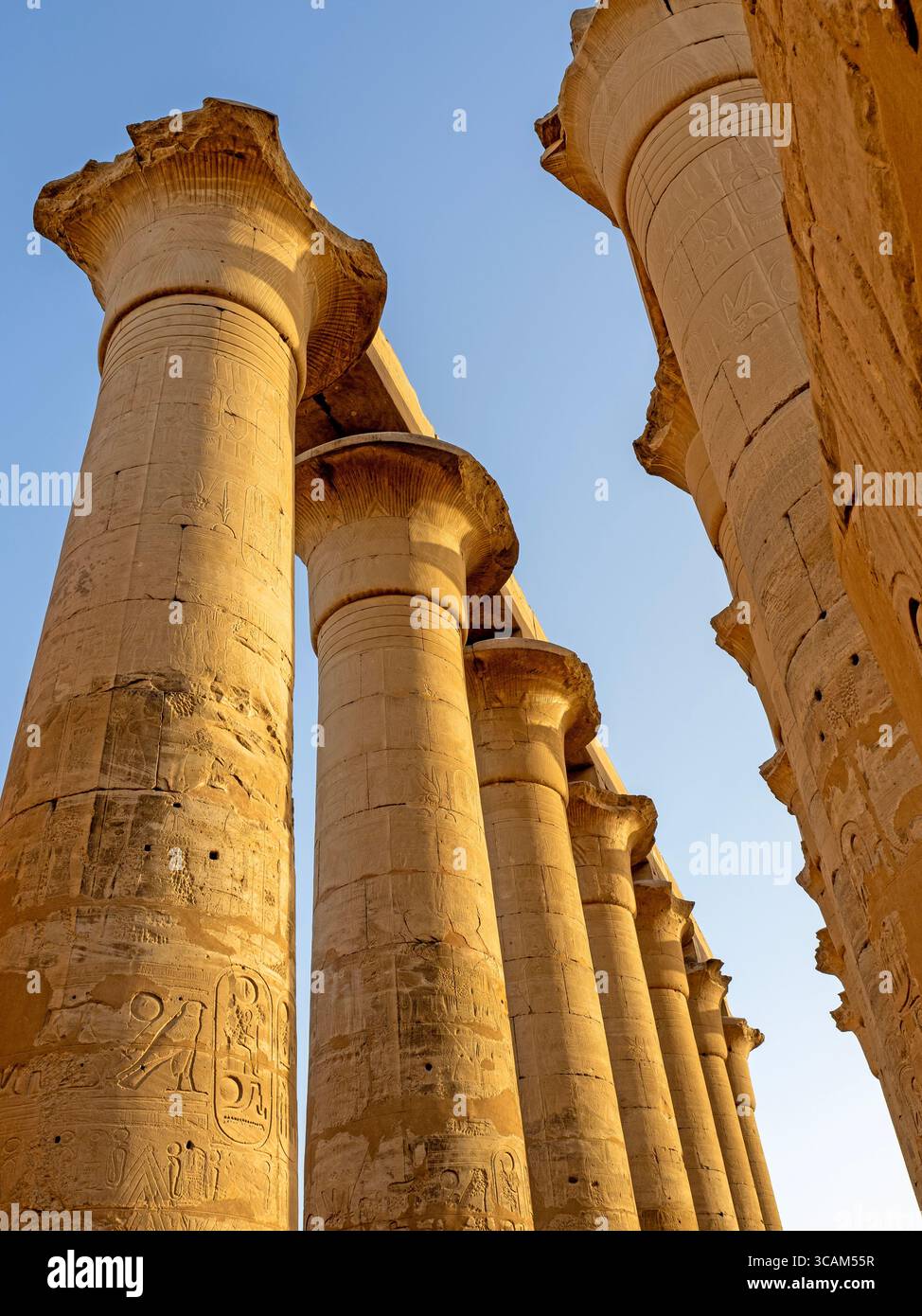 The columns of the Grand Colonnade in Luxor Temple Stock Photo
