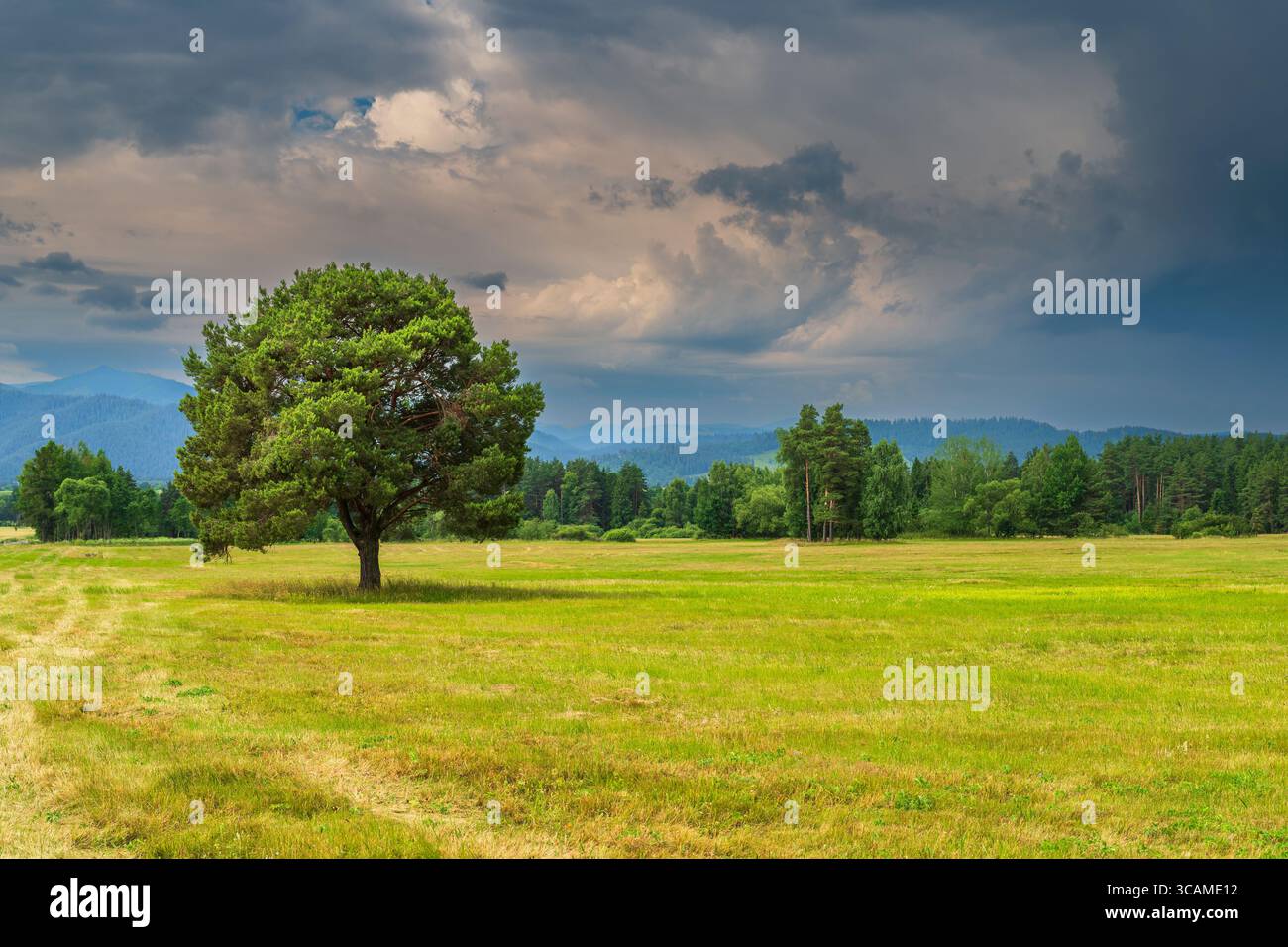 Countryside landscape, Gerlachov, Presov, Slovakia Stock Photo
