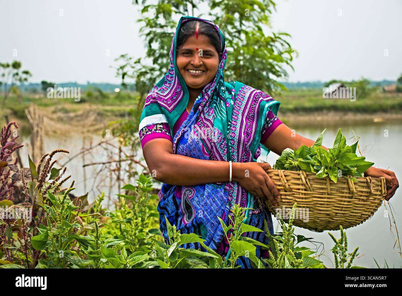 A cheerful farmer smiles proudly while holding a basket of freshly harvested spinach, representing the joy and abundance of her agricultural work. Stock Photo