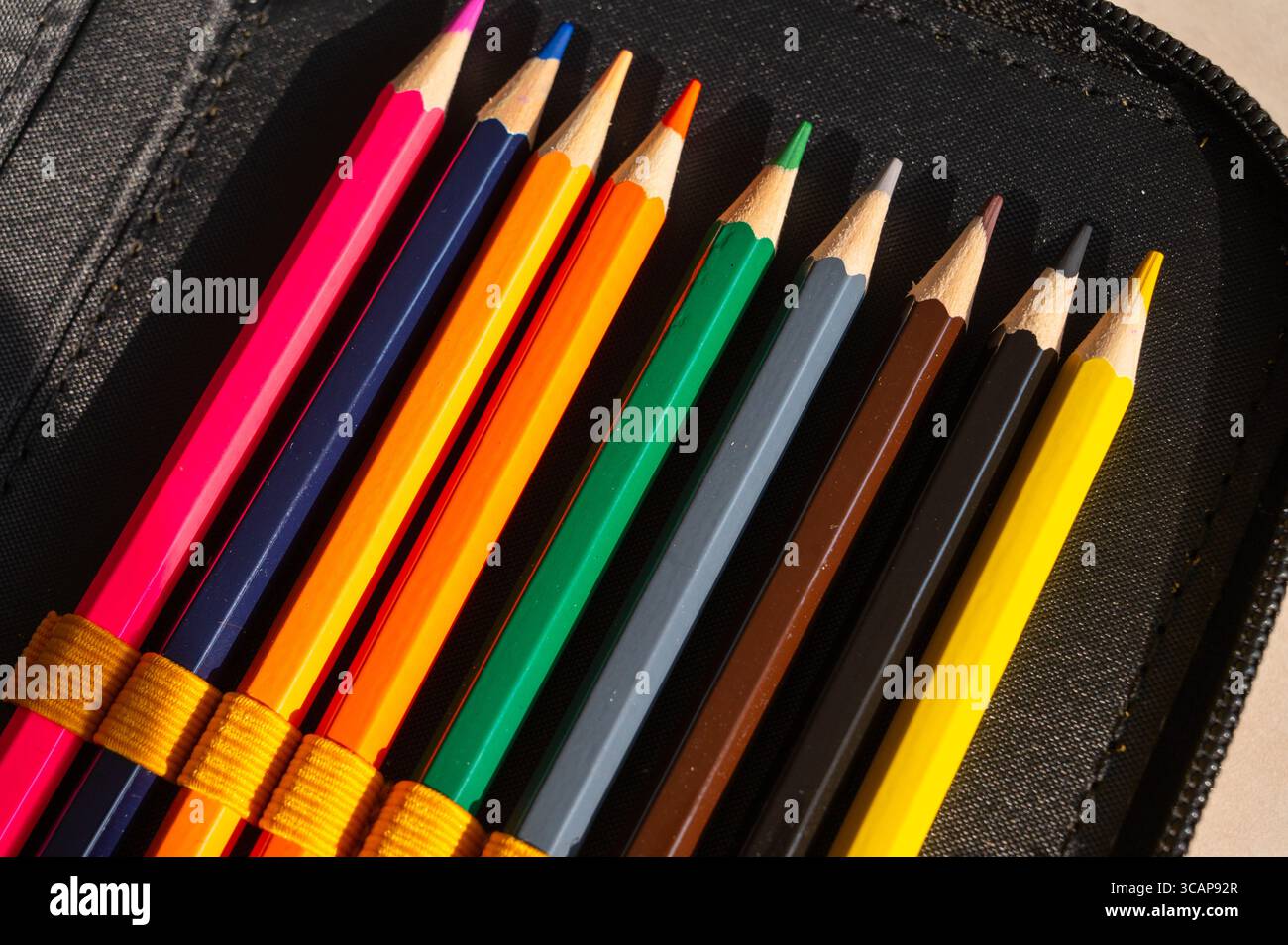 multi-colored pencils in a schoolboy's pencil case Stock Photo