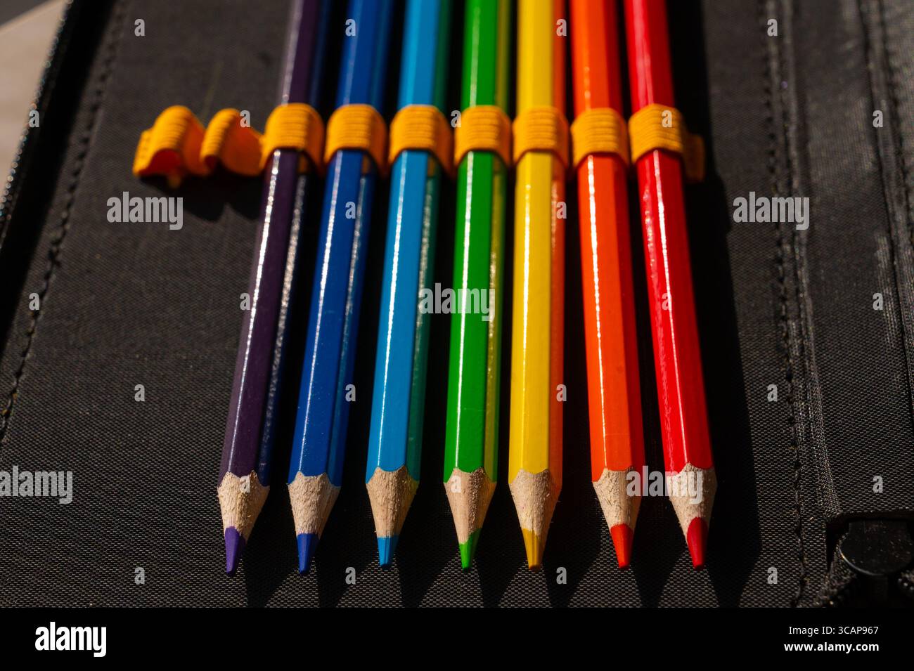 multi-colored pencils in a schoolboy's pencil case Stock Photo