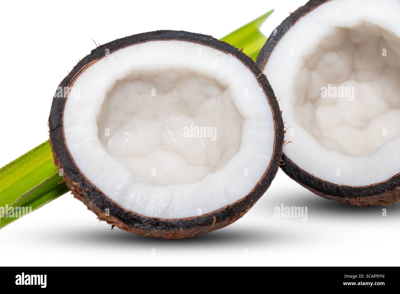 Coconut fruit with cut in half isolated on white background Stock Photo