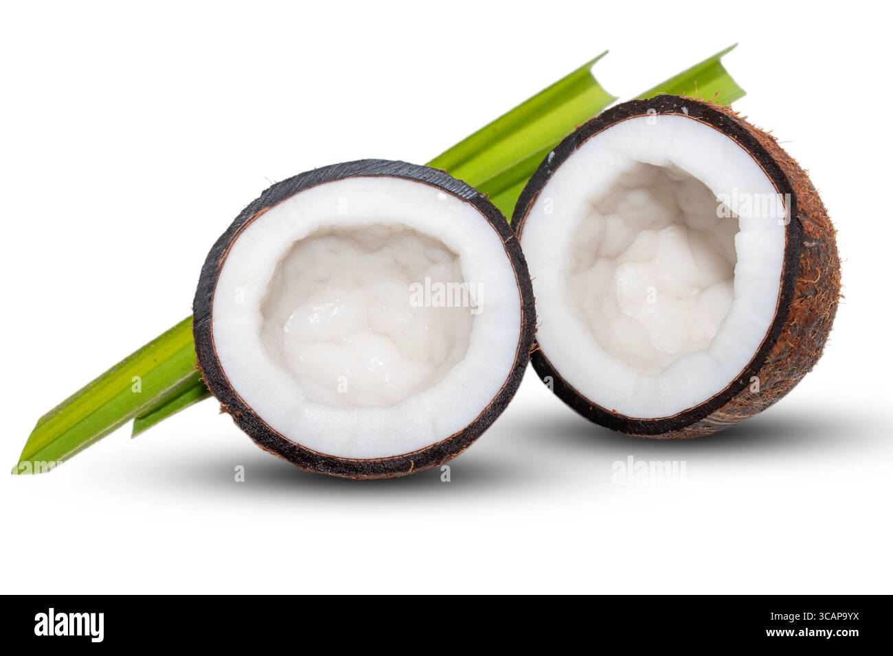 Coconut fruit with cut in half isolated on white background Stock Photo