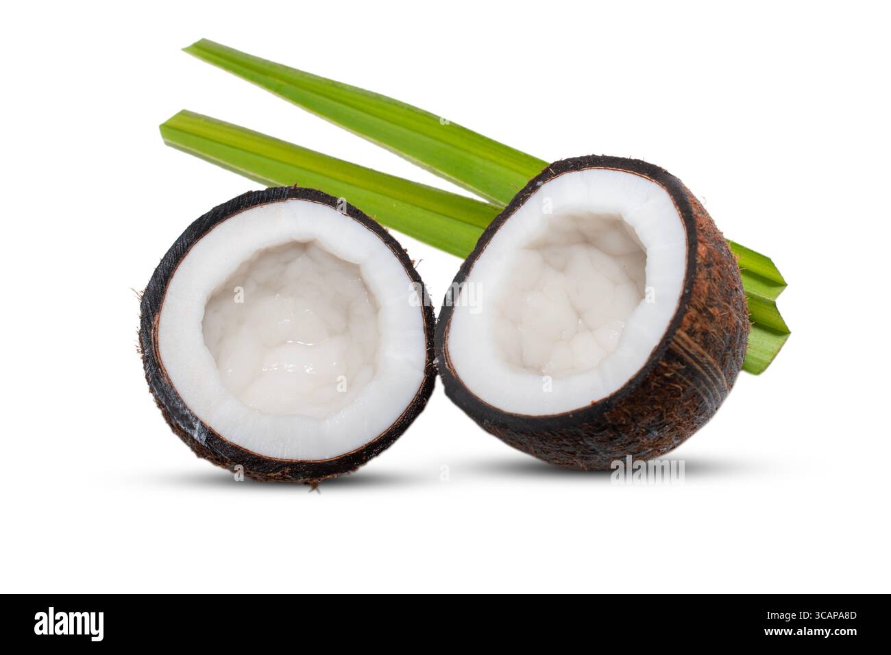Coconut fruit with cut in half isolated on white background Stock Photo