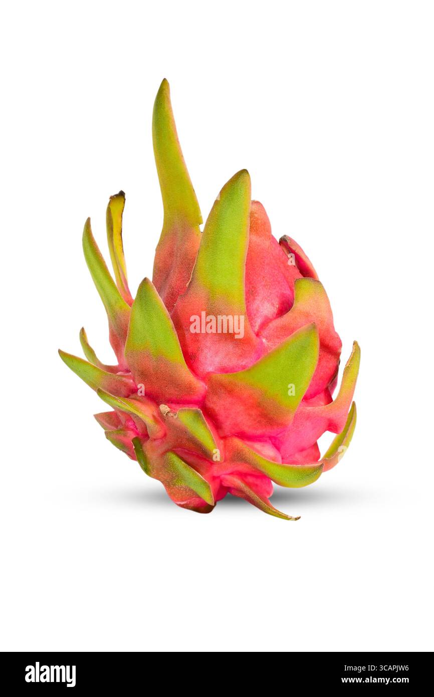 Fresh Dragon ( Pitaya ) fruit isolated on white background Stock Photo