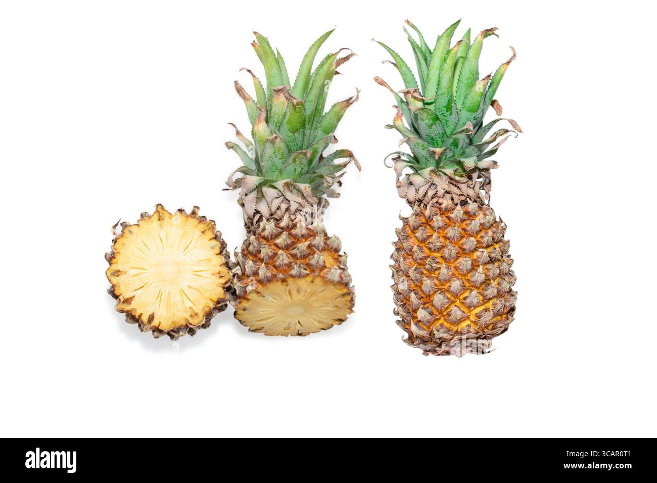 Pineapple ( Ananas comosus ) isolated on white background . Pineapple clipping path. Stock Photo