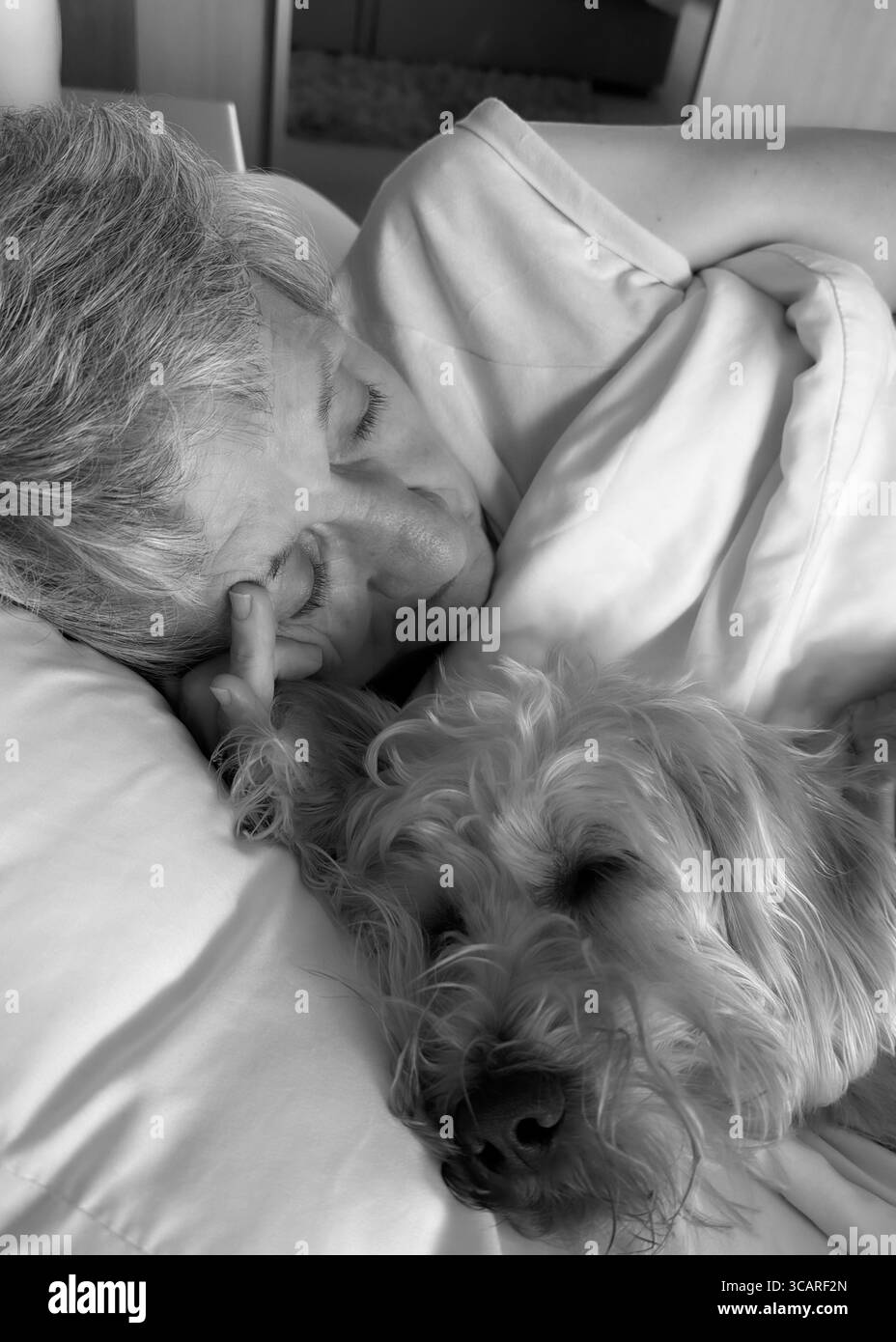 Black and white image of a mature lady having a morning lay in in bed with her pet cockapoo dog joining her on the bed - Smartphone Captured Stock Image