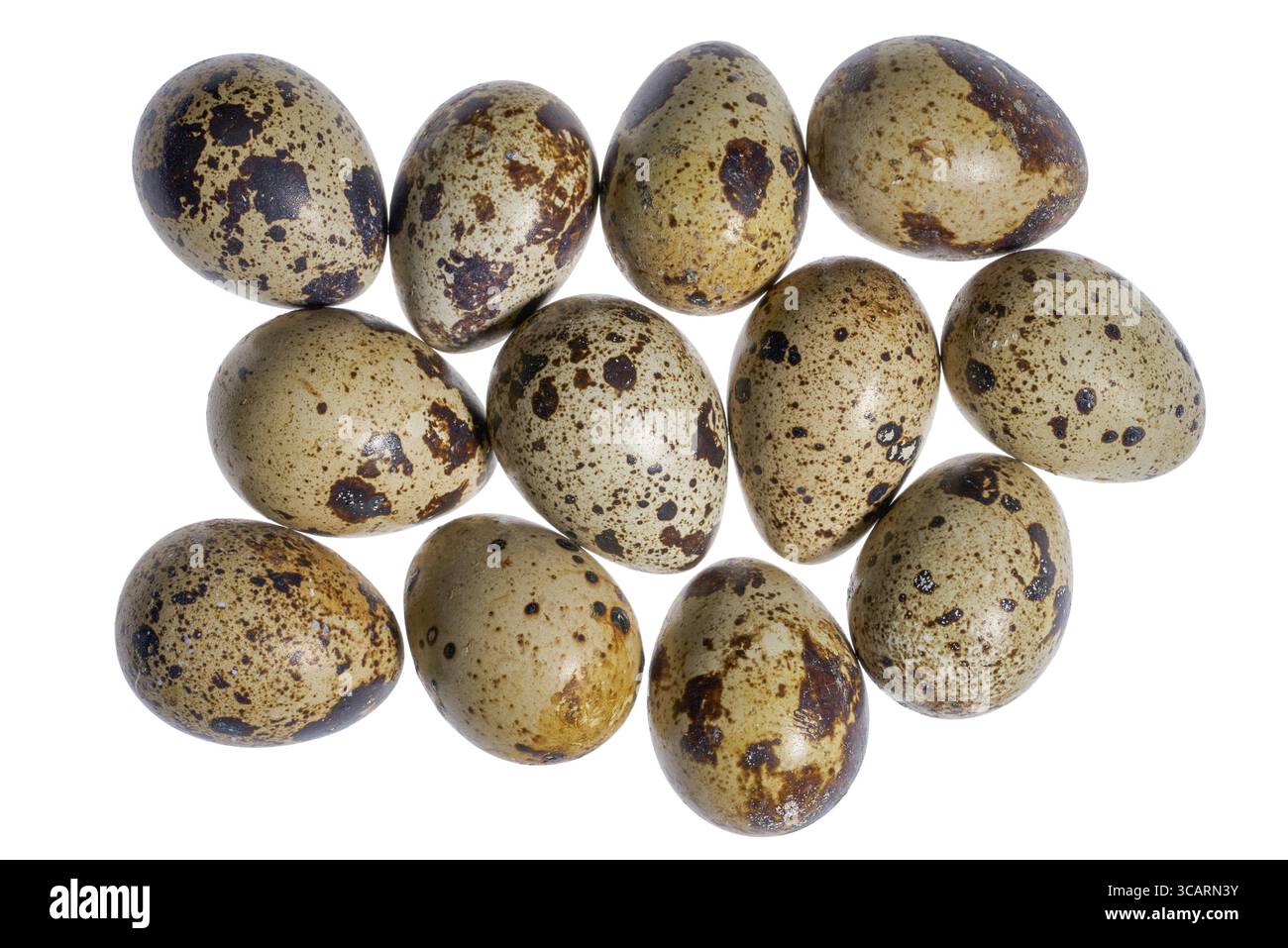 Some brown dappled quail eggs in white back Stock Photo