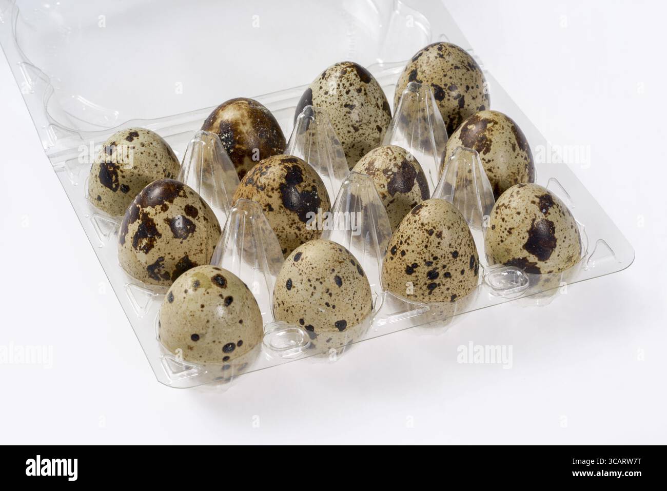 Some brown dappled quail eggs in a translucent plastic box Stock Photo