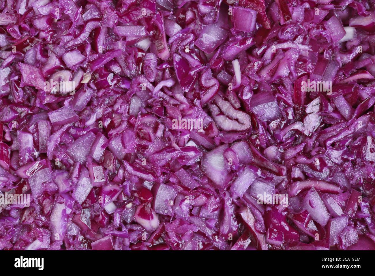 Finely chopped red cabbage vegetable background. Studio macro shot Stock Photo