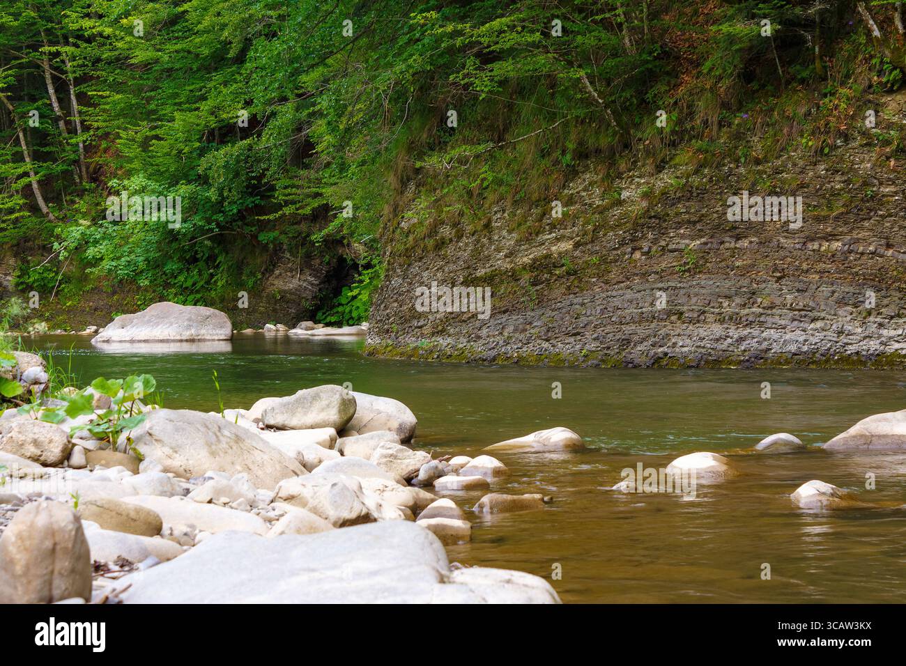 nature landscape with lyuta river in foliage forest. rocks in fresh water stream. wild outdoor scenery in summer. beautiful green environment backgrou Stock Photo