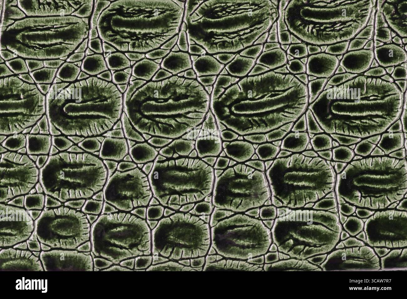 Artificial crocodile skin texture. Studio macro background Stock Photo