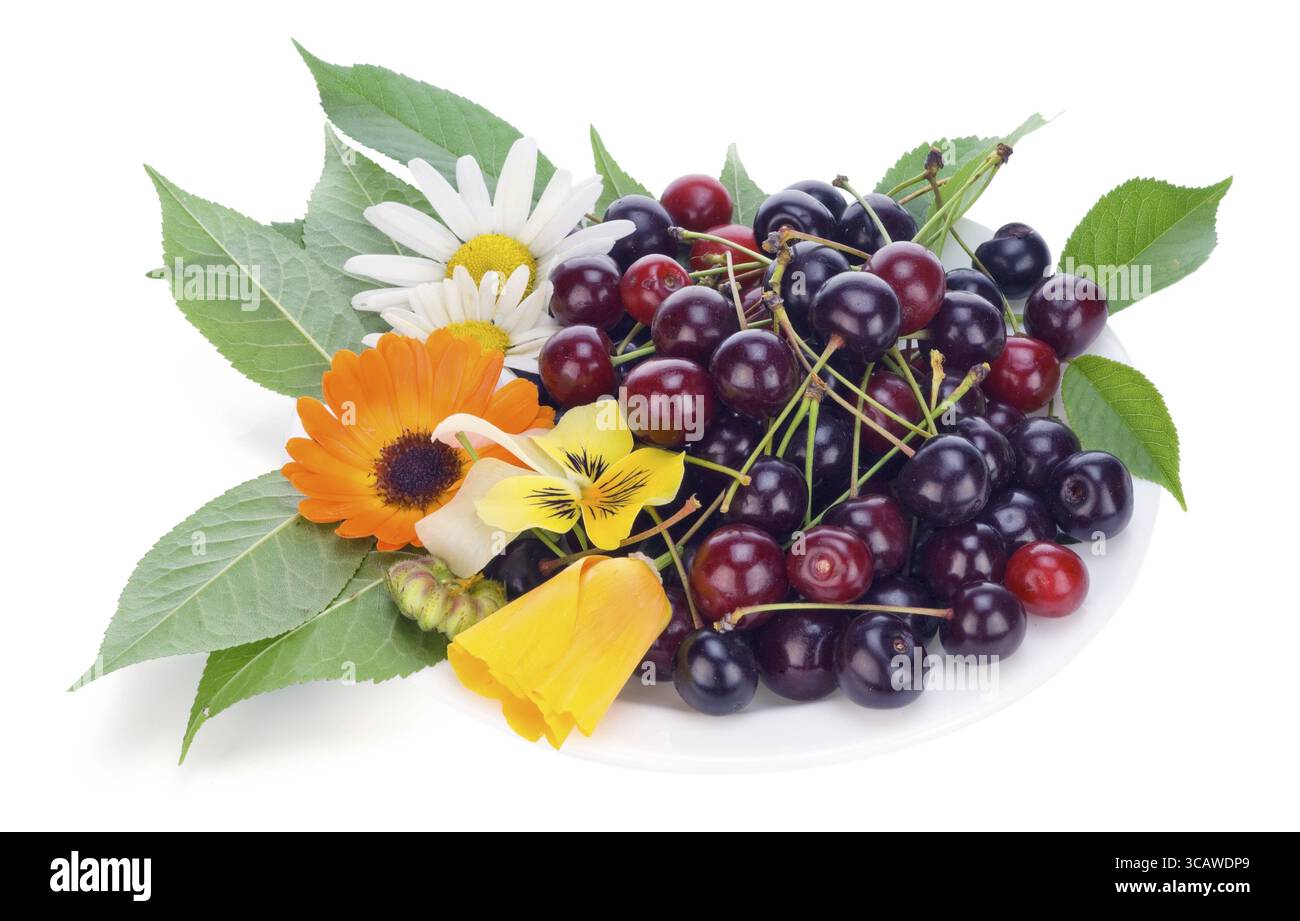 Cherries And Flowers