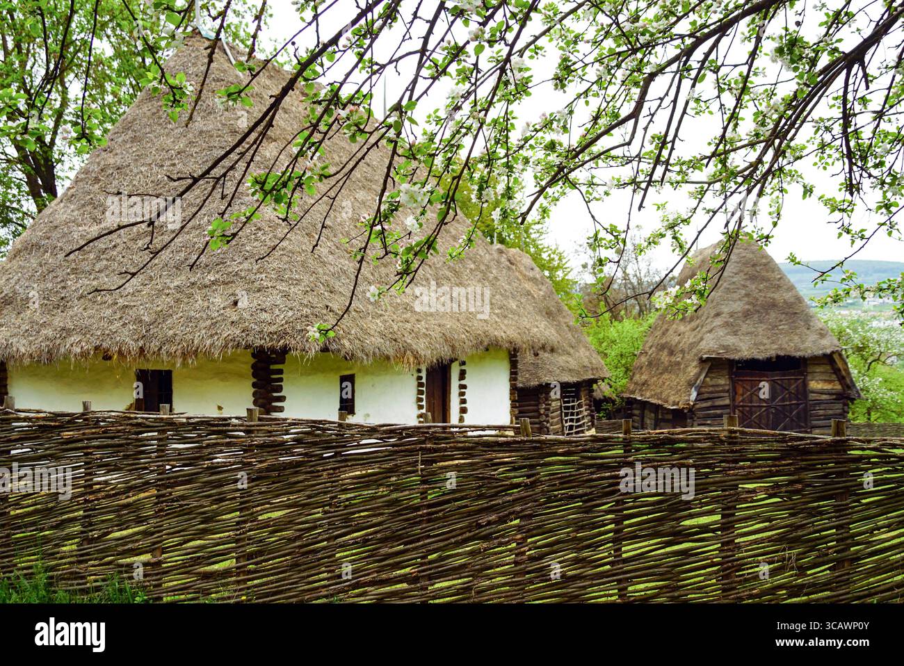 Traditional Romanian thatched roof houses with wattle fence at Romulus ...