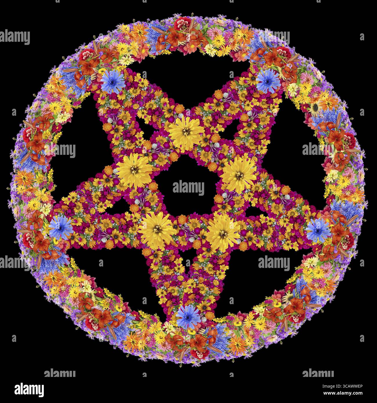 Symbol of the Devil - the turned star made from flowers. Abstract ...