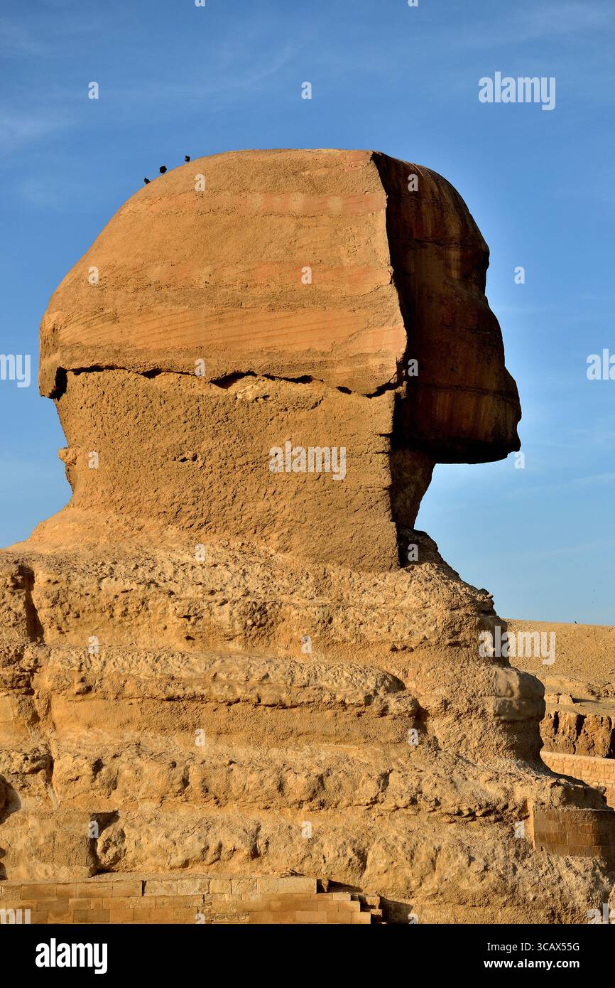 The Great Sphinx of Giza, a mythical creature with the head of a human ...