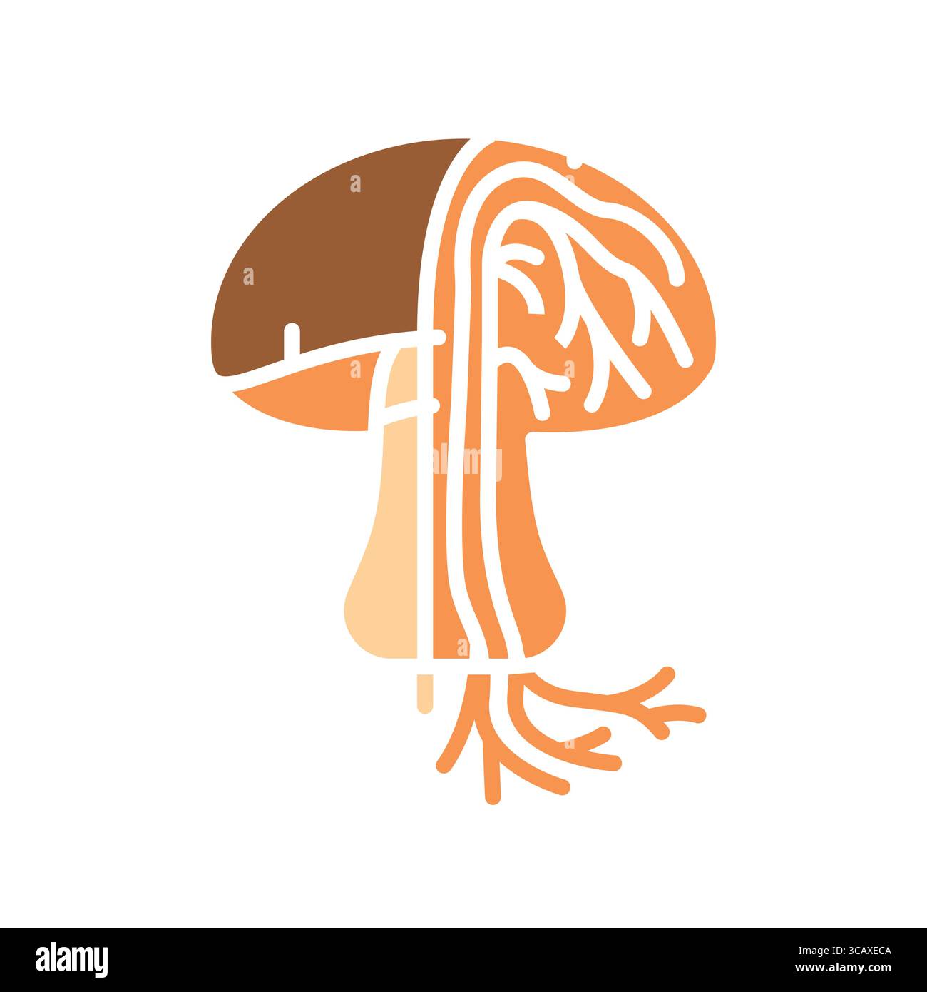 Hyphae mushroom color flat icon for digital and print projects. Minimal ...
