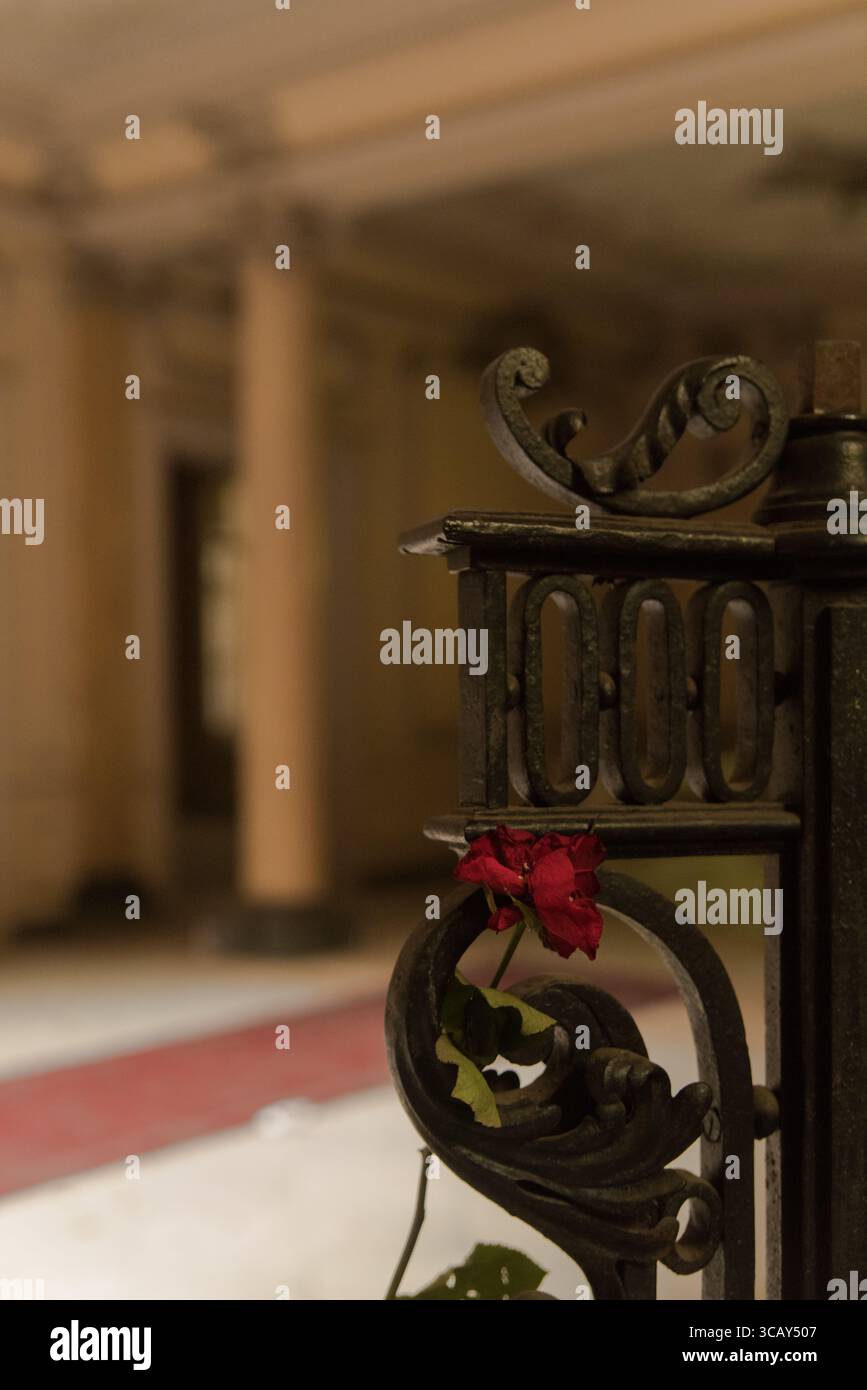 Close-up of ornate wrought iron railing with a single red rose in an abandoned historic villa interior Stock Photo